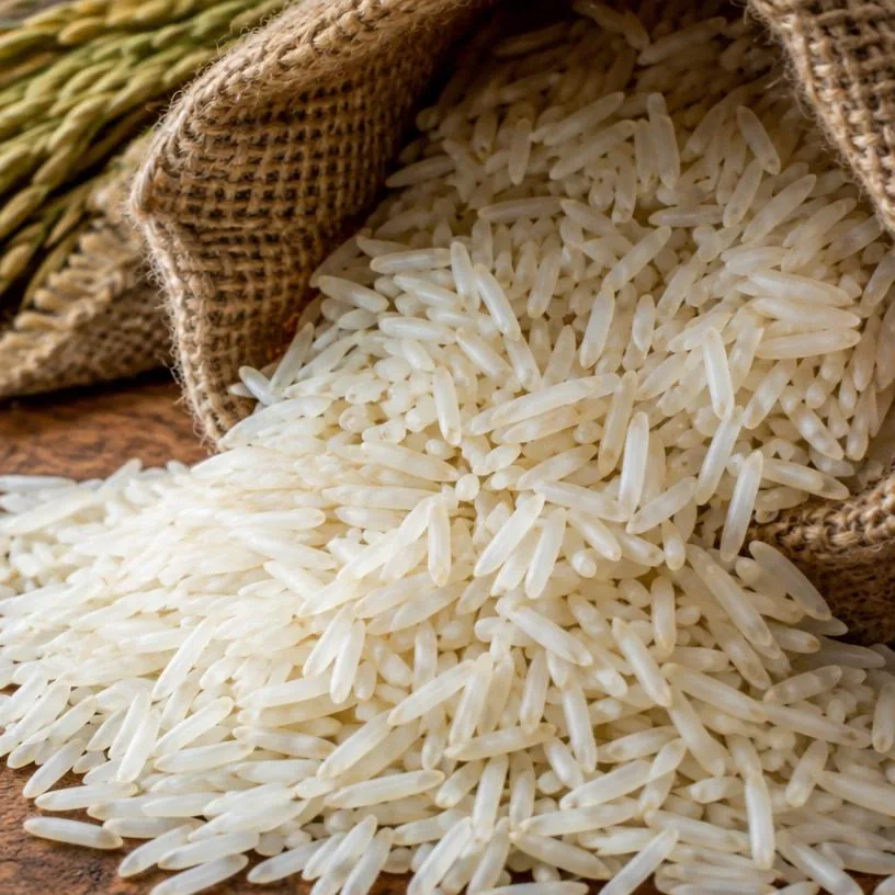 Rice